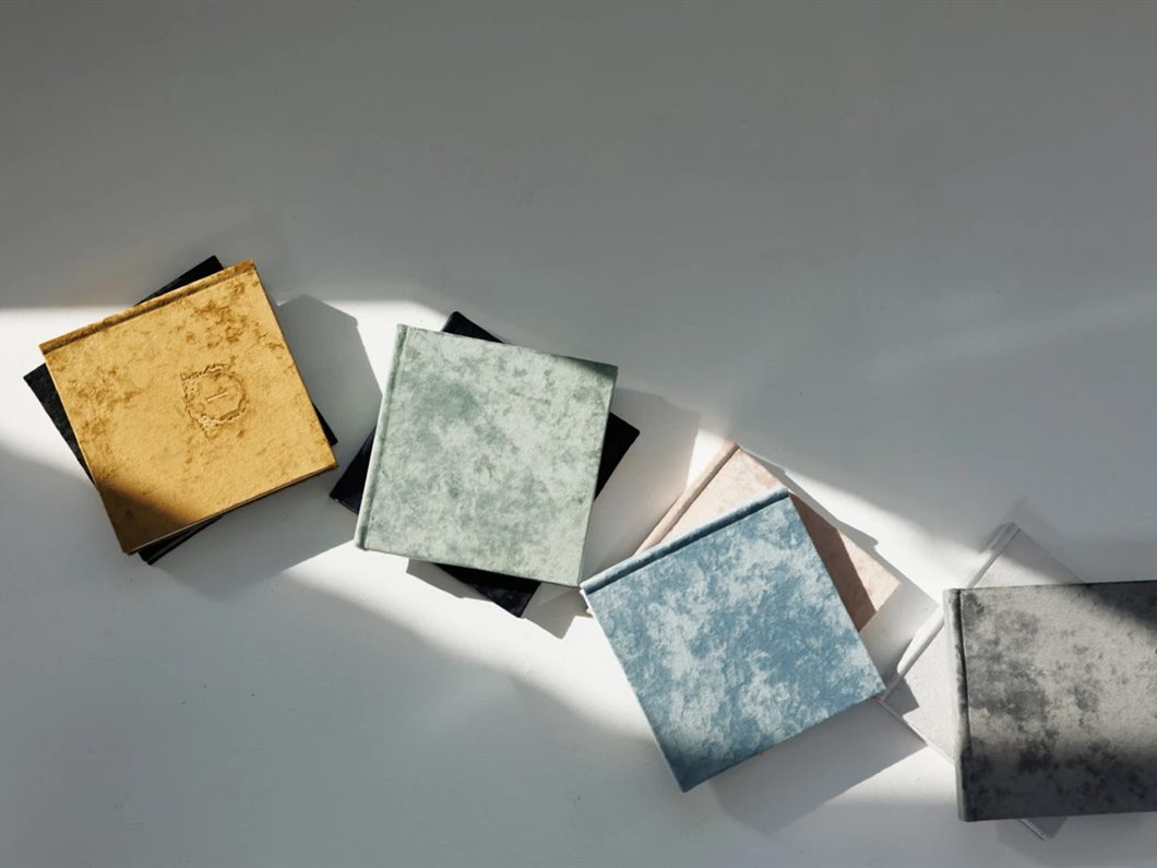 Velvet photo albums in several colours, laid out in a row in sunlight